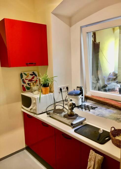 Vintage Studio Apartment, Garden And Free Parking Budapest Exterior foto