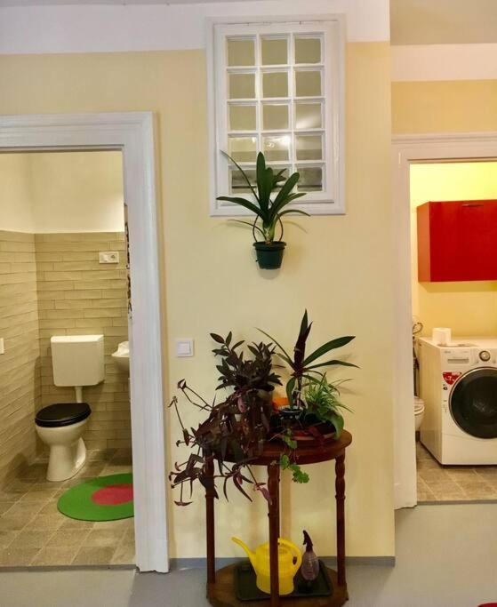 Vintage Studio Apartment, Garden And Free Parking Budapest Exterior foto